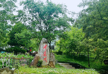神龙川风景区第 28 张图片