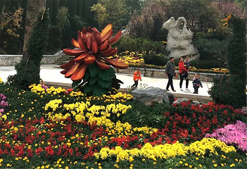 跑马岭生态休闲度假区第 22 张图片