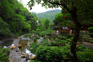 龙胜温泉第 19 张图片