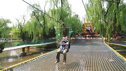金宝乐园第 16 张图片