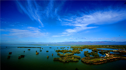 沙湖生态旅游区第 46 张图片