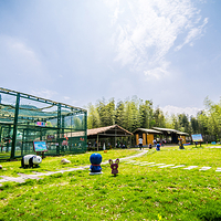 龙虎山风景区-仙宠乐园