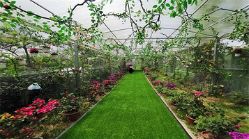 金海雪山四季花谷