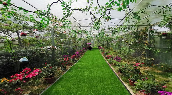 金海雪山四季花谷