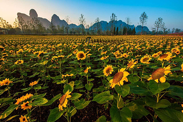 龙虎山风景名胜区第 17 张图片