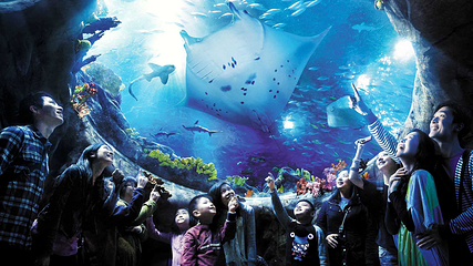 香港海洋公园第 125 张图片