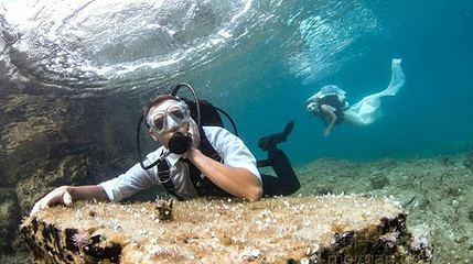 海世界潜水中心第 1 张图片
