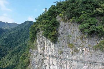 千岛湖石林景区第 39 张图片