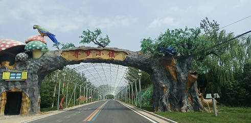 寻梦小镇第 20 张图片