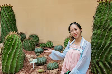 正佳雨林生态植物园第 80 张图片