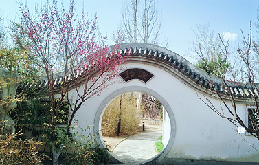 世界花卉大观园第 36 张图片