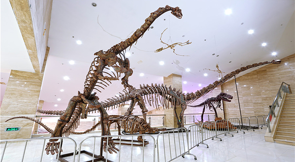 宁夏地质博物馆