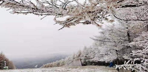 万龙滑雪场第 214 张图片