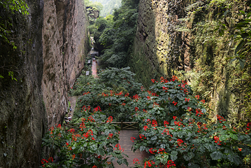 汉仙岩风景名胜区第 49 张图片