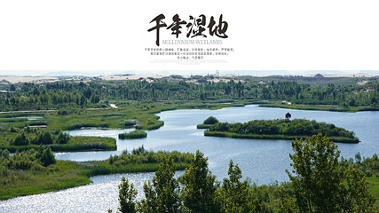 玉龙沙湖第 73 张图片