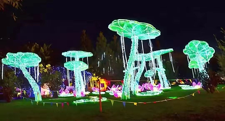 益阳现代农业示范园第 51 张图片