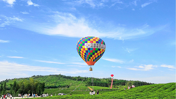 万亩茶园·茶园里梦想小镇