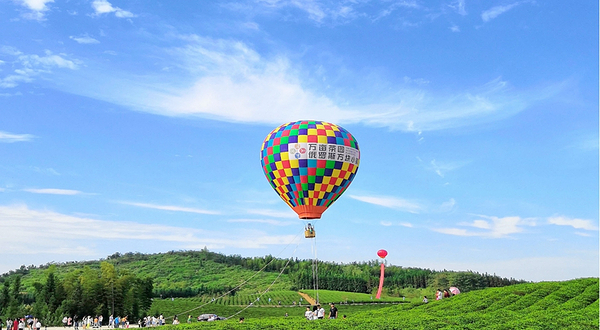 万亩茶园·茶园里梦想小镇