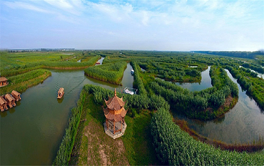 泗洪洪泽湖湿地景区第 36 张图片