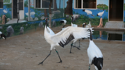 黄金河度假村第 61 张图片
