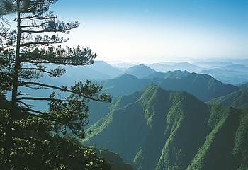 神龙川风景区第 14 张图片