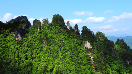 光雾山旅游景区第 71 张图片