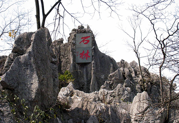千岛湖石林景区第 48 张图片