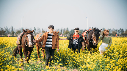 古柏渡飞黄旅游区第 36 张图片