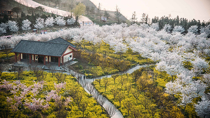古柏渡飞黄旅游区第 7 张图片