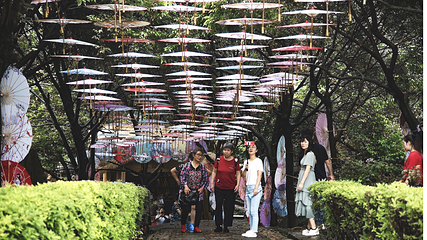 玉石林风景区第 23 张图片