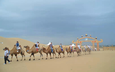 库布其沙漠旅游景区第 12 张图片