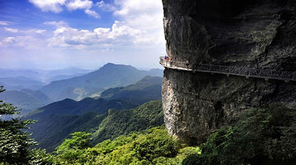 金佛山北坡景区第 47 张图片