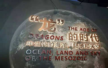 国家海洋博物馆第 109 张图片
