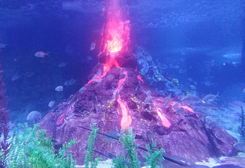 北海海底世界第 60 张图片