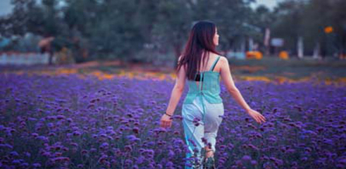 莱芠小镇第 57 张图片