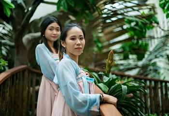 正佳雨林生态植物园第 28 张图片