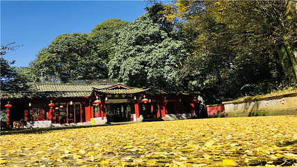 蒙顶山第 67 张图片