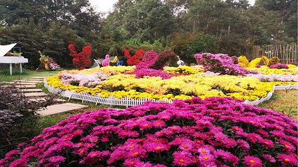都江堰·玫瑰花溪谷第 42 张图片