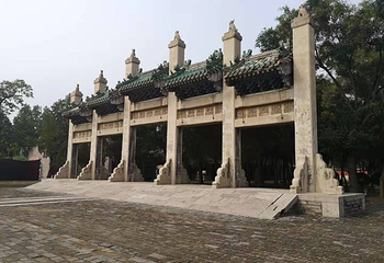袁林第 13 张图片