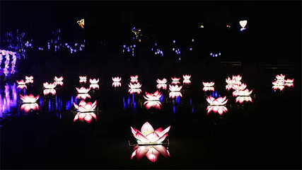 清溪谷旅游区-花田酒地景区第 124 张图片