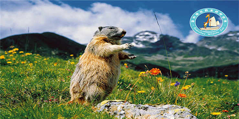 泉州海丝野生动物世界第 7 张图片
