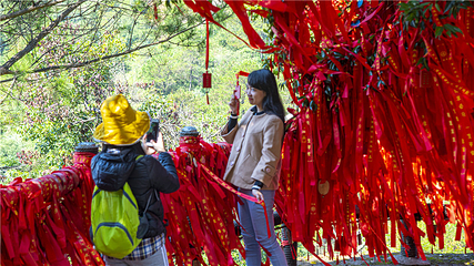 玉石林风景区第 20 张图片