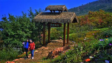 万安山山顶公园第 41 张图片
