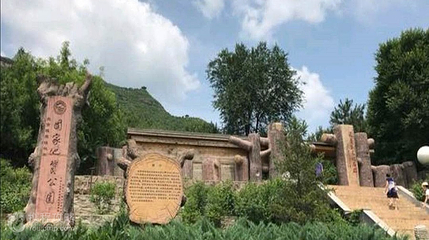百里山水画廊—硅化木第 5 张图片