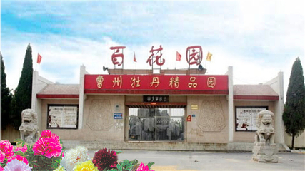 曹州百花园第 3 张图片