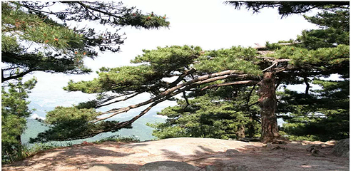湖北三角山旅游度假区第 32 张图片