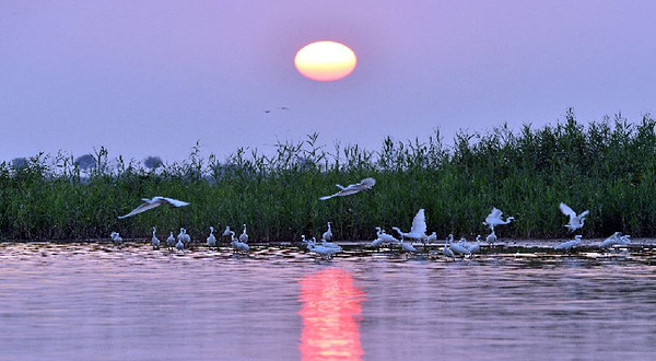 衡水湖湿地公园