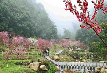 北溪文苑风景区第 46 张图片