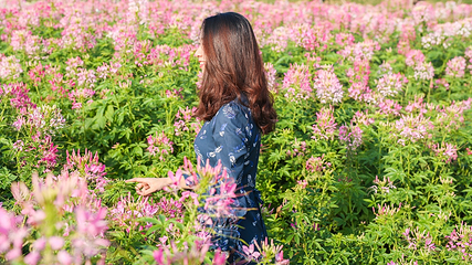 小榄菊花会第 32 张图片