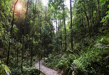 牛姆林生态旅游区第 26 张图片